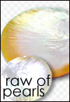 raw shell of pearls